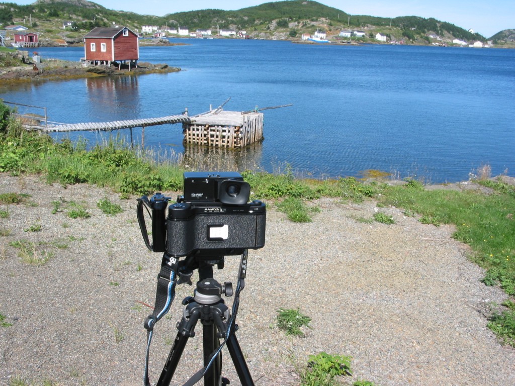 1024IMG_5977.jpg