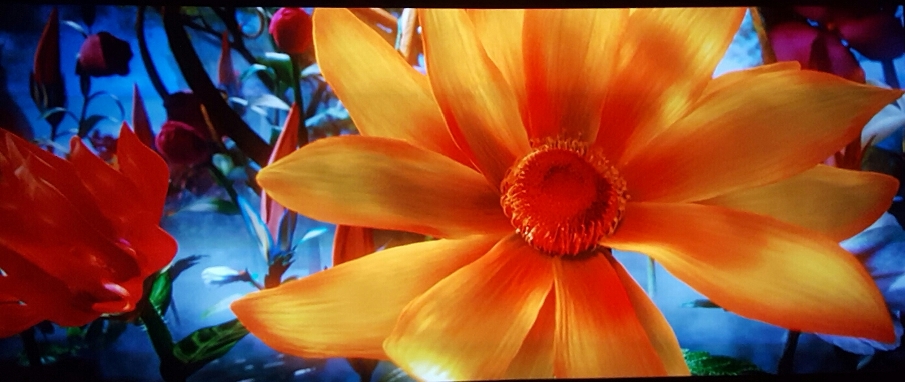 20160819_201232.jpg