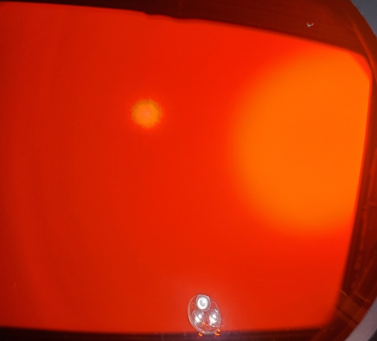 20230512_120118.jpg
