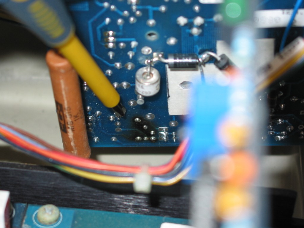 BLUE_Back_4391.jpg