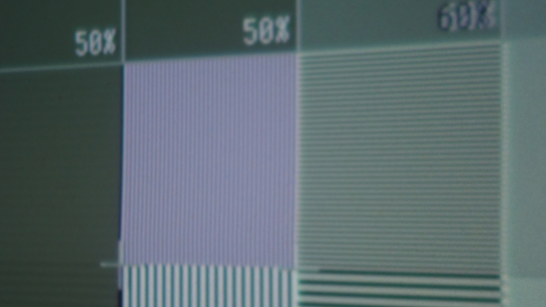 Close up.jpg