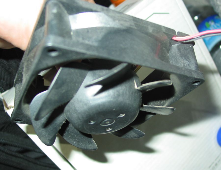 CROP_IMG_5482.jpg