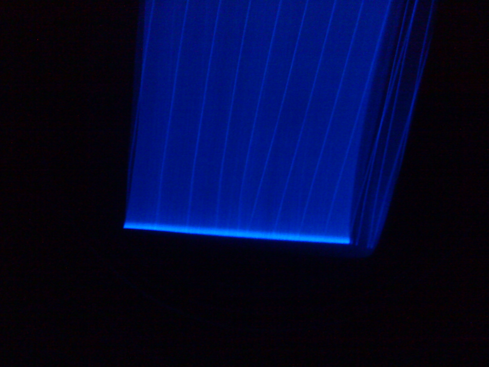 DSC00116.JPG