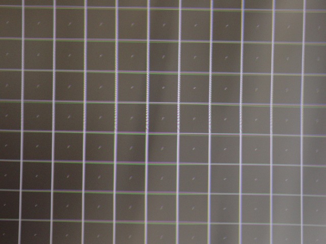 DSC01842.jpeg