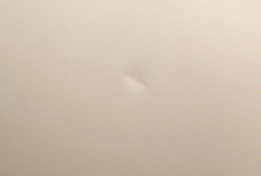 IMG_7640_CROP.jpg