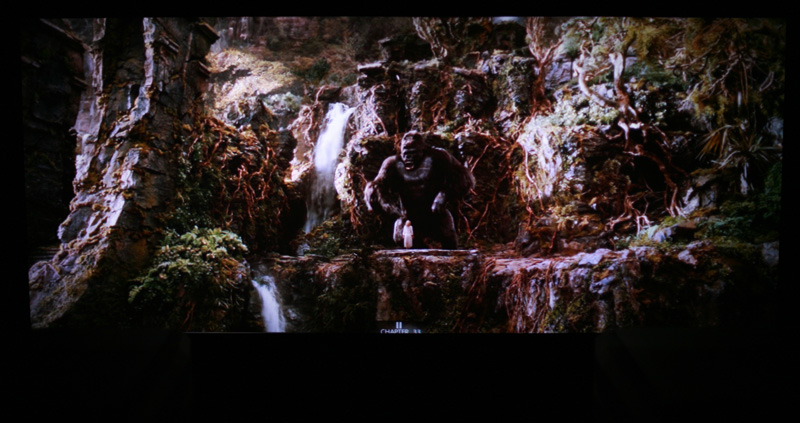 kong1.jpg