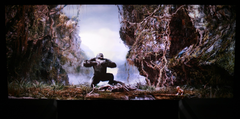 kong5.jpg