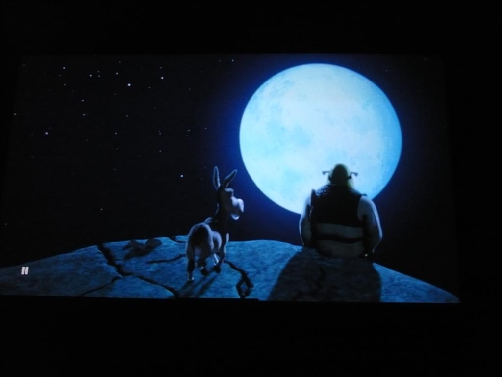 Moon Dim.JPG