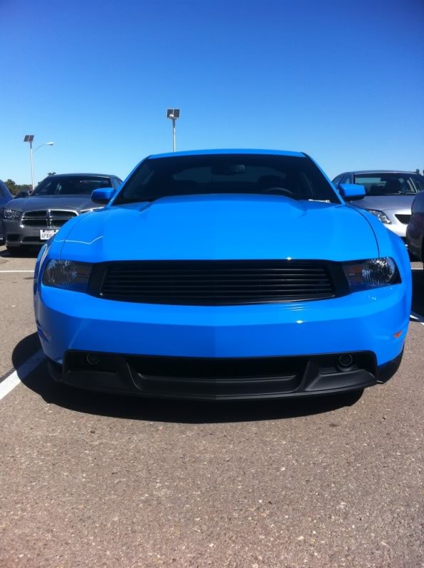 Mustang grabber blue.jpg