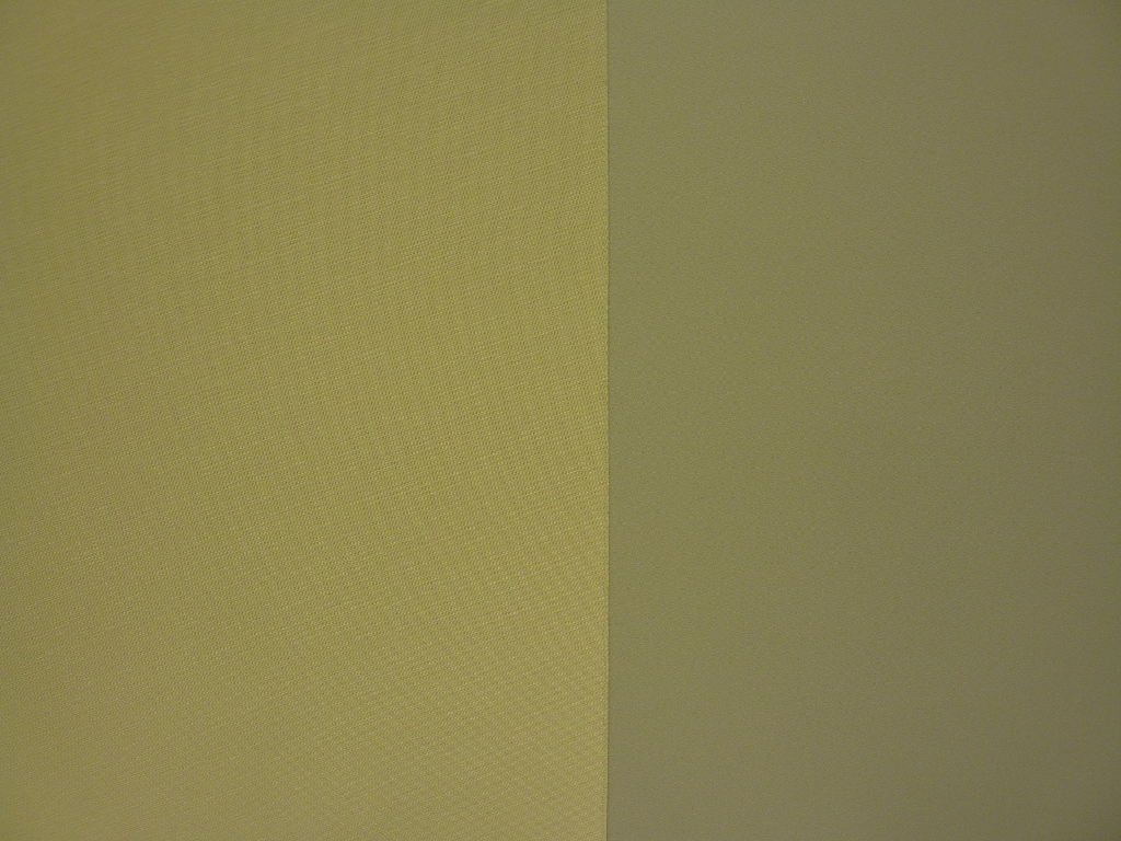 P1010421a.JPG