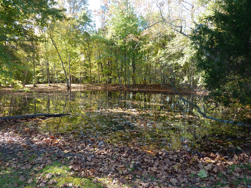 P1010760a.JPG