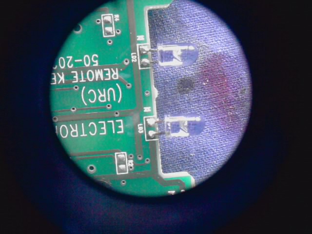 P161010_11.06.jpg