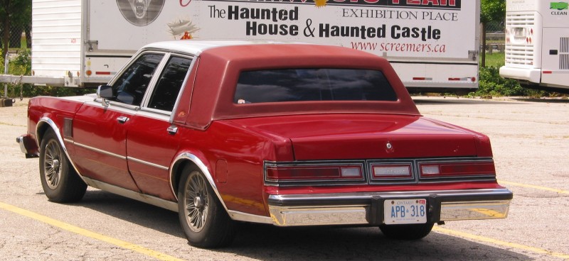Rear_5th_8198.jpg