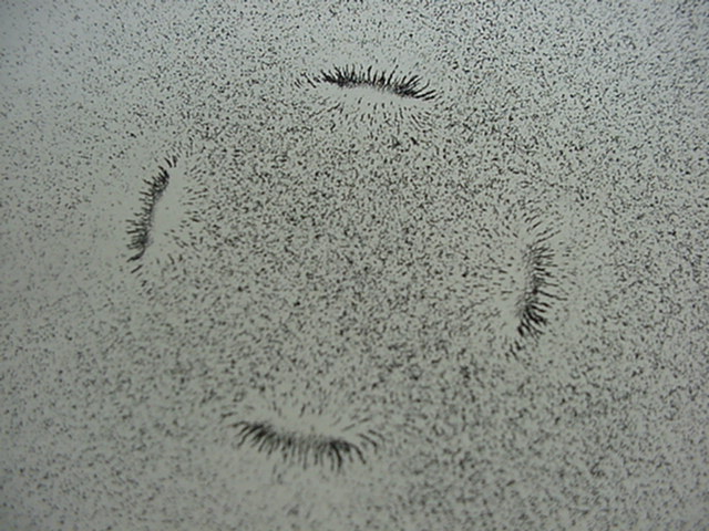 ring2.jpg