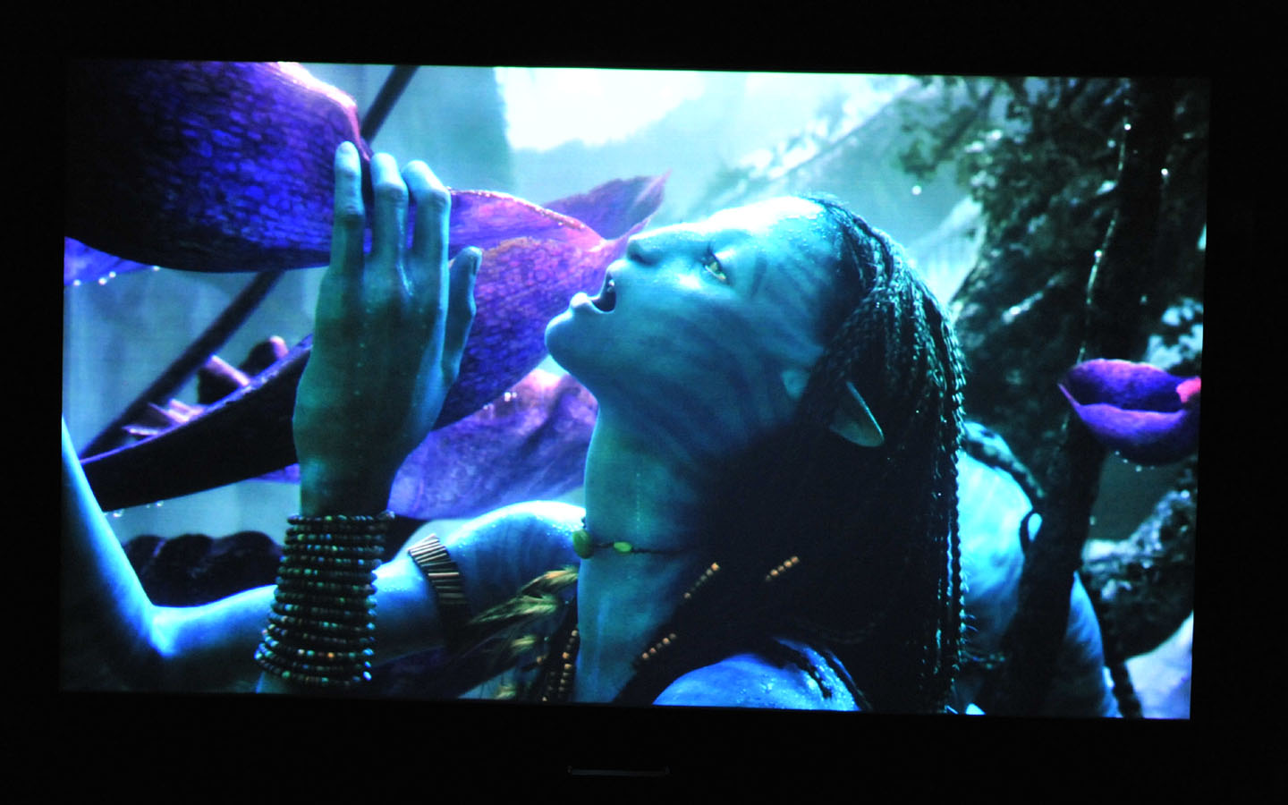 Screen-6.jpg