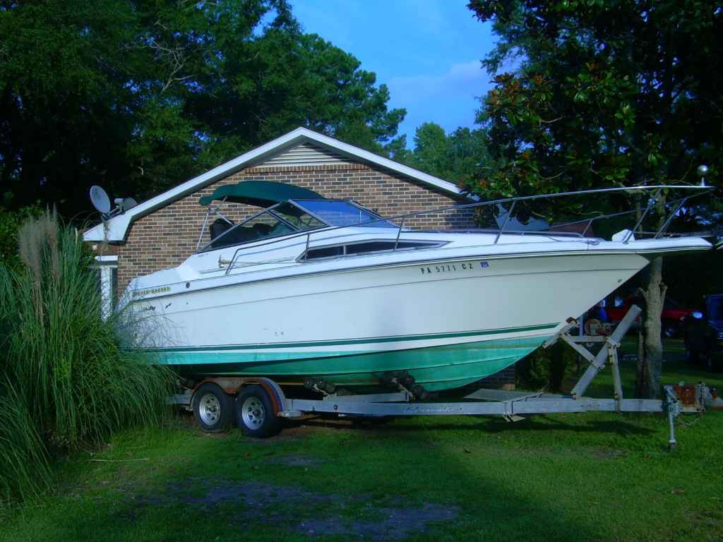 Searay.JPG