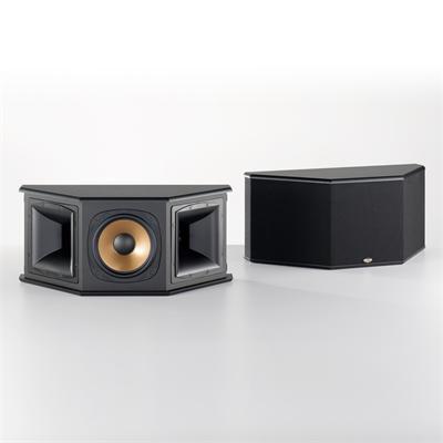 surround speaker.jpg