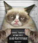 Tarder_Sauce.jpg