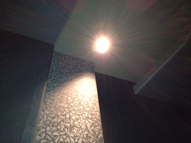 Theater ceiling contrast.jpg