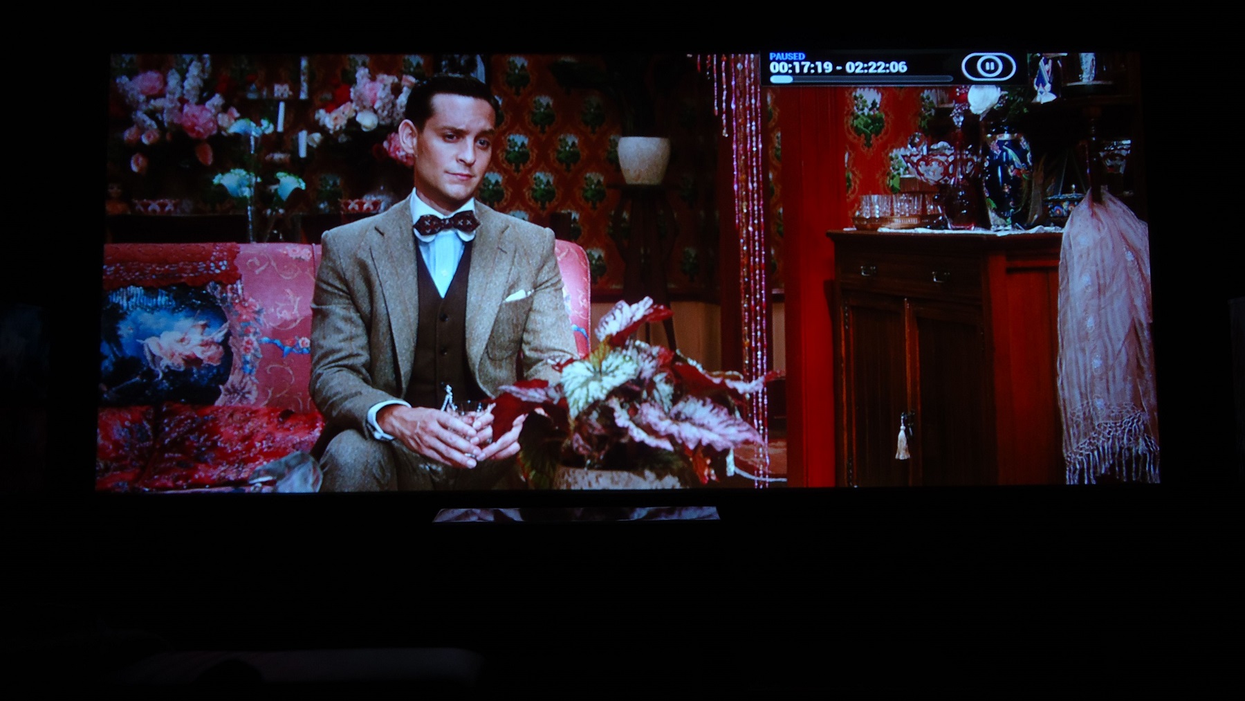 Tobey in red room.jpg