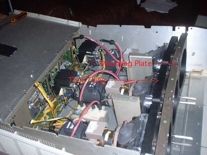 top_170 copy.jpg