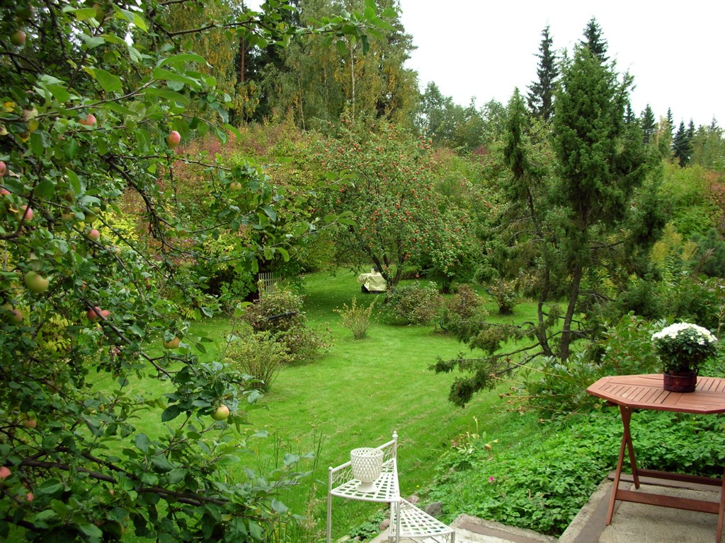 View from storage door to backyard.jpg